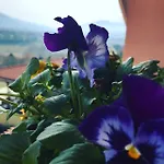Летний дом Il Pozzo