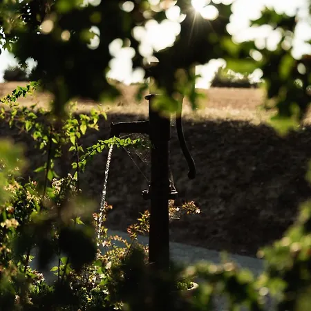 Il Pozzo Collescipoli