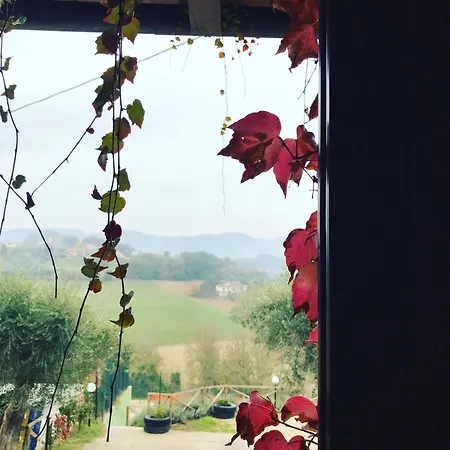 Il Pozzo Collescipoli
