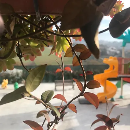 Il Pozzo * Collescipoli