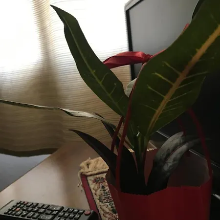 Il Pozzo Collescipoli