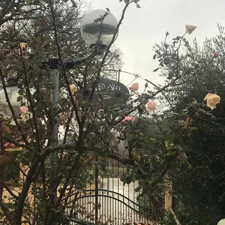 Il Pozzo Collescipoli